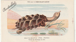 ***  ANIMAUX ***  CPA   MATAMATA  Tortue De L'Amérique   --  Chocolat Louit  --neuve/unused  TTB - Tortues