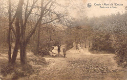 CPA Orroir - Mont De L'enclus - Route De La Tour - Animé - Mont-de-l'Enclus