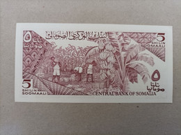 Billete De Somalia De 5 Shilin, Año 1982, UNC - Somalie