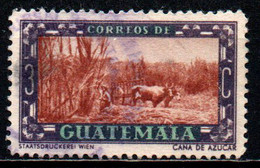 GUATEMALA - 1950 - Sugar Cane Field - USATO - Guatemala