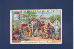 Chromo SIAM Thaïlande éléphant Publicité Liébig - Thaïlande