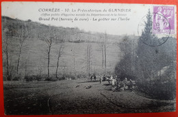 19 - CORREZE - Préventorium Du Glandier -Grand Pré - Le Gouter Sur L'herbe - Ussel