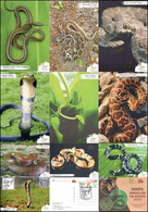 India Official 2022 Invest In Our Planet , Earth Day Postcard Pack ,SNAKES : Unravelling Snake ,Reptile (**) Inde Indien - Covers & Documents
