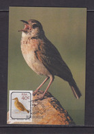 SOUTH AFRICA - 1990 Birds Stamped Pre-Paid Postcard As Scan - Covers & Documents