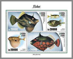 SIERRA LEONE 2022 MNH Fishes Fische Poissons M/S - IMPERFORATED - DHQ2221 - Fishes