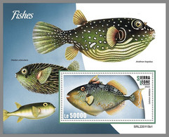 SIERRA LEONE 2022 MNH Fishes Fische Poissons S/S I - IMPERFORATED - DHQ2221 - Fishes