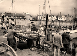 La Turballe * Le Port * Le Débarquement Des Sardines * Pêcheurs Pêche - La Turballe