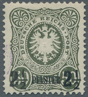 Deutsche Post In Der Türkei: 1884, 2 1/2 Pia. Ungebrauchter Nachdruck Mit Platte - Turkey (offices)