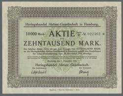 Alte Aktien / Wertpapiere: FISCHEREI; 1923-1974, Partie Von 11 Meist Verschieden - Other & Unclassified