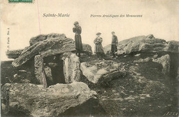 Ste Marie Sur Mer * Pornic * Pierres Druidiques , Tumulus Des Mousseaux * Monolithe Mégalithe - Pornic