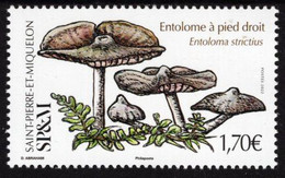 St. Pierre & Miquelon - 2022 - Edible Mushrooms - Entoloma Strictius - Mint Stamp - Nuevos