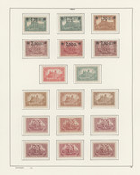 Deutsches Reich - Inflation: 1919/1923, Postfrische Sammlung Auf Selbst Gestalte - Collections