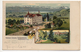 LITHO Kurhaus Schloss Schwandegg MENZINGEN Gel. 1914 Stempel Kurhaus - Menzingen