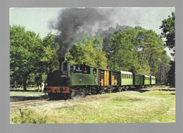 Sabres. Ecomusée De La Grande Lande "Marqueze". Le Train De Marquèze (GF2304-3) - Sabres