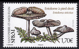 Saint-pierre Et Miquelon 2022 - SP & M  - Entolome à Pied Droit - Champignons / Mushrooms Neuf ** - Nuevos