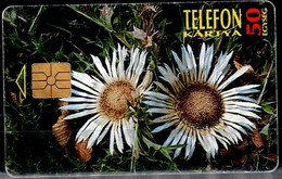 HUNGARY 1995 PHONECARDS FLOWERS USED VF!! - Blumen