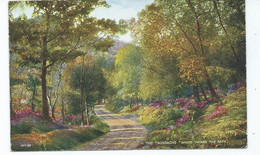Postcard Stirlingshire In The Trossachs .coloured  Where Twines The Path Valentines Unused - Stirlingshire