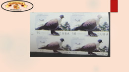 O) 2020 CUBA, CARIBBEAN, IMPERFORATED, BIRD, DOVE, PIGEON, PALOMA NIVAL, COLUMBA LEUCONOTA, MNH - Non Dentelés, épreuves & Variétés