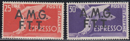 Trieste AMG-FTT Selezione Di 2 Valori Espressi Sass. 2/3 MNH** Cv 150 - Poste Exprèsse