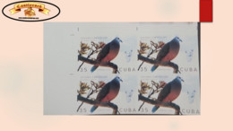 O) 2020 CUBA, CARIBBEAN, IMPERFORATED, BIRD, DOVE, PIGEON, COLUMBA LARVATA, CONSERVATION STATUS LESS CONCERN, MNH - Geschnittene, Druckproben Und Abarten