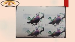 O) 2020 CUBA, CARIBBEAN, IMPERFORATED, BIRD, PIGEON, DOVE,  COLUMBA ELPHINSTONII, VULNERABLE IN ITS CONSERVATION STATE, - Imperforates, Proofs & Errors