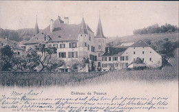 Peseux NE, Le Château Et Les Vignes (105 B) - Peseux