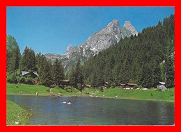 CPSM/gf VOUVRY (Suisse)  Lac De Tanay...O496 - Vouvry