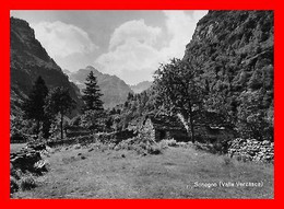 CPSM/gf SONOGNO (Suisse)  Maison De Ferme Dans Le Valle Verzasca...O506 - Sonogno
