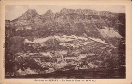 Dep 01 , Cpa   Environs De BELLEY , La Dent Du Chat (alt. 1470 M.) (10985) - Belley