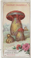 Chromo Aiguebelle Les Champignons 10,5 X 5.5 Cortinaire à Odeur De Bouc - Aiguebelle