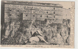 DEPT 90 : Précurseur : Belfort Le 21 Mai 1902 , Le Château  édit. ? N° 14 - Belfort – Siège De Belfort