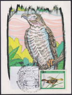 TMA-718 CUBA 2018 SPECIAL CANCEL MAXIM CARD. WORLD DAY HUMEDALES EVERGLADES BIRD AVES. - Tarjetas – Máxima