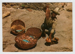 Martinique, Pêcheur De La Caravelle - La Trinite