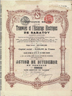 -Titre De 1907- Compagnie Belge Pour Les Tramways Et L'Eclairage De Saratov - Déco 089151 - Russia