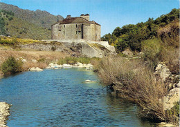 48 LOZERE Le Chateau De Castanet Près De Villefort CPM - Villefort