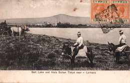 LARNACA / SALT LAKE AND HALA SULTAN TEKYE NEAR  / BEL AFFRANCHISSEMENT / MARCOPHILIE / RARE - Chipre