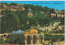 Jerusalem - The Gardens Of Gethsemane - Israël