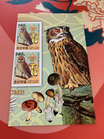 Korea Stamp Mushrooms Owl Imperf MNH Heading - Korea, North