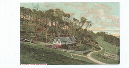 Postcard Cornwall Mount Edgcumbe Beechwood Cottage Unused - Newquay