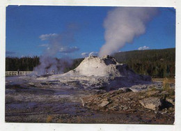 AK 057459 USA - Wyoming - Yellowstone National Park - Castle Geyser - Yellowstone
