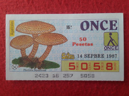 SPAIN 1987 CUPÓN ONCE LOTTERY LOTERÍA LOTERIE SETAS SETA MICOLOGÍA HONGOS MUSHROOMS CHAMPIGNONS CHAMPIÑONES FUNGHI PILZE - Loterijbiljetten