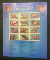 Congo DR 2000 - Wild Cats - Altri & Non Classificati