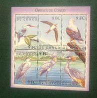 Congo DR 2000 - Birds Of The Congo - Other & Unclassified