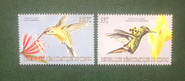 Congo DR 2000 - HummingBirds - Other & Unclassified