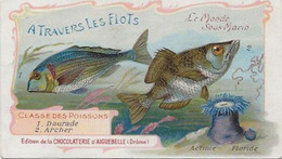 Chromo Aiguebelle 11,5 X 6.5 Le Monde Sous-marin - A Travers Les Flots - Aiguebelle