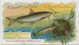 Chromo Aiguebelle 11,5 X 6.5 Le Monde Sous-marin - A Travers Les Flots - Aiguebelle