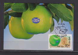 SOUTH AFRICA - 1994 Export Fruit Stamped Pre=Paid Postcard As Scan - Brieven En Documenten