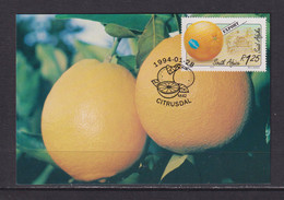 SOUTH AFRICA - 1994 Export Fruit Stamped Pre=Paid Postcard As Scan - Briefe U. Dokumente