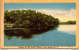 New York Long Island Scene On The South Shore Dexter Press - Long Island