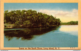 New York Long Island Scene On The South Shore Dexter Press - Long Island